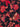 3/4 Sleeve & Boxer Set Cranberry Bloom