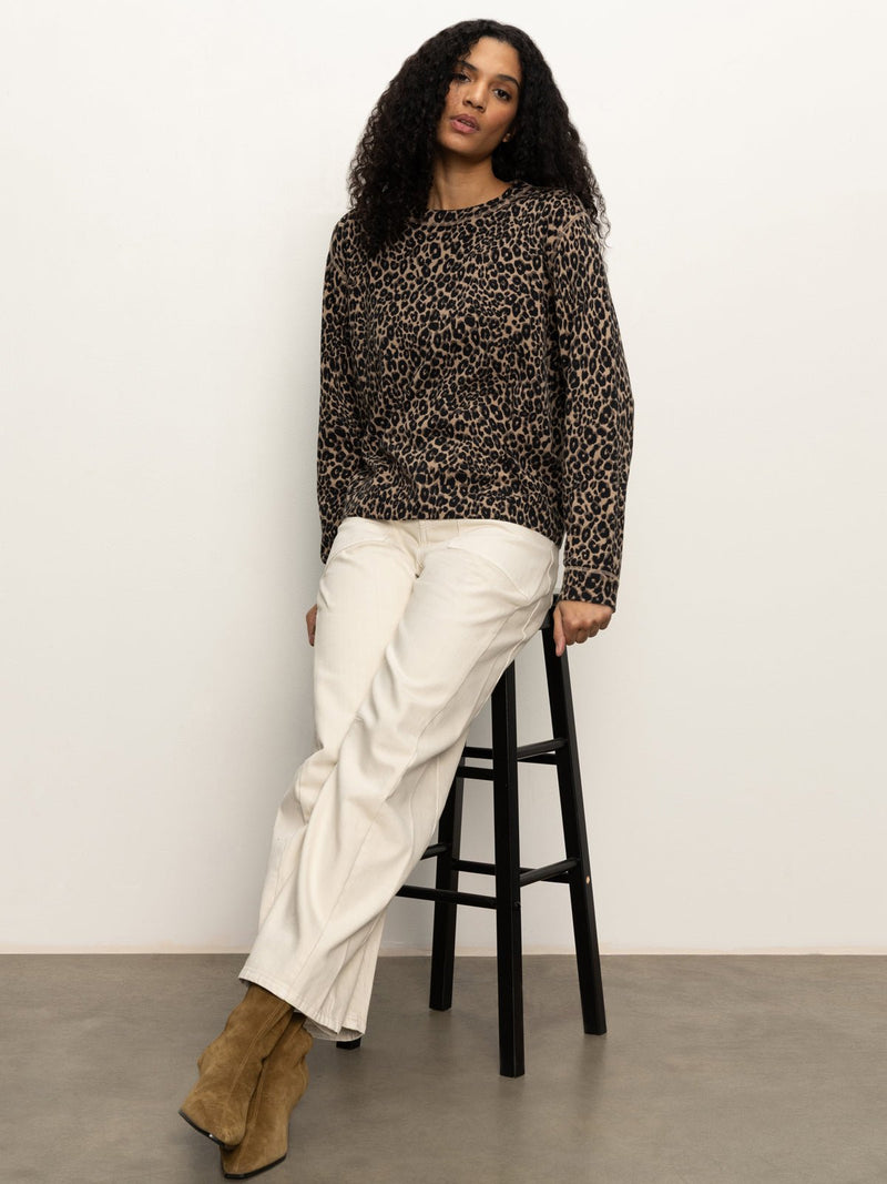 24/7 Popover French Kitty alt 5