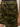 Close-up of a person wearing the Sanctuary Clothing boyfriend utility short rambler camo, featuring large pockets and visible stitching, against a neutral background.