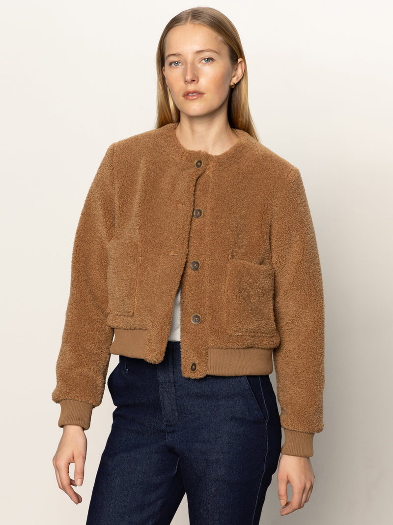 Teddy Cardi Bronze alt 2