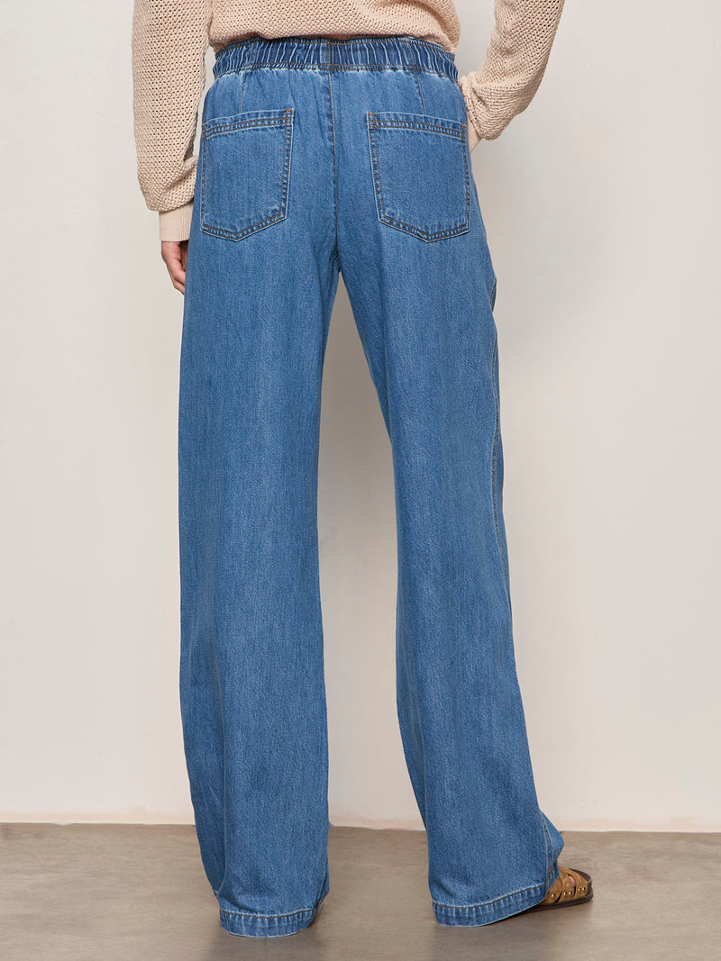 All Aboard Jean Celestial alt 1