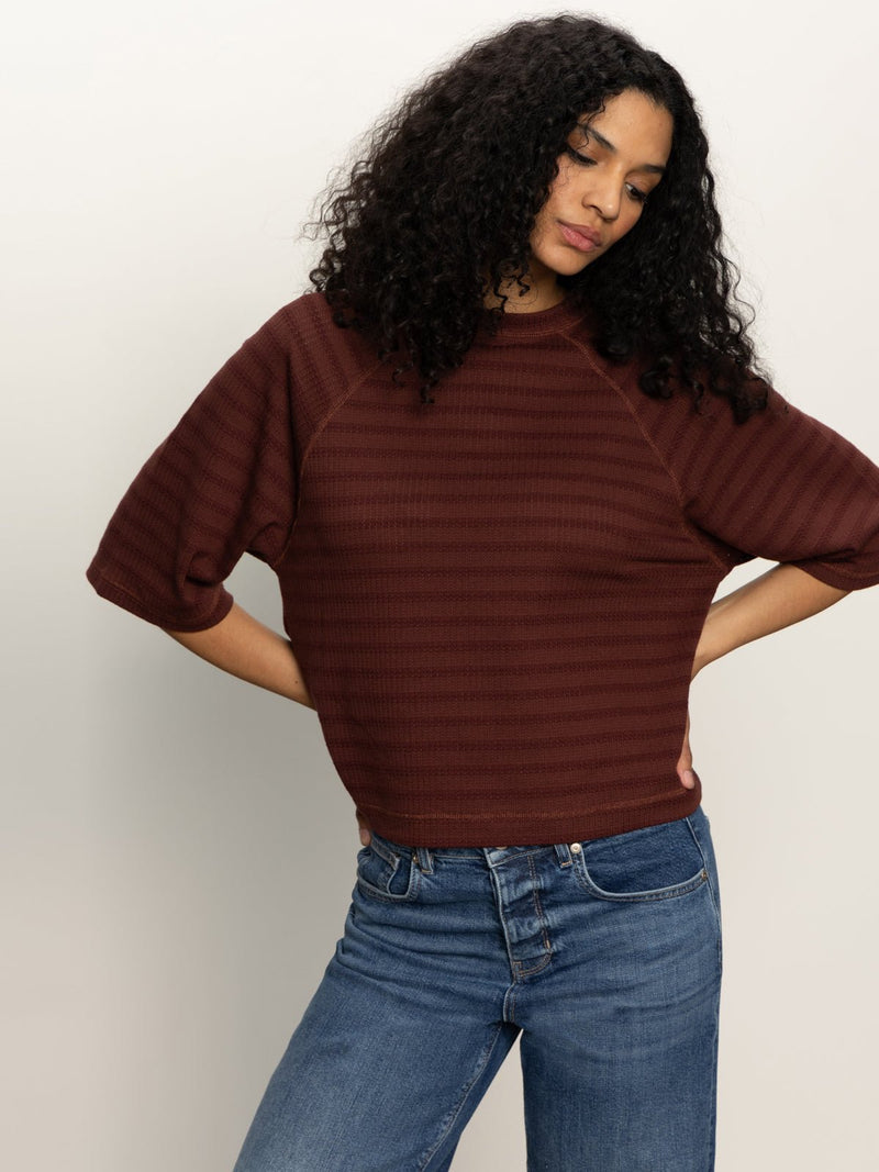 Boxy Raglan Tee Chicory