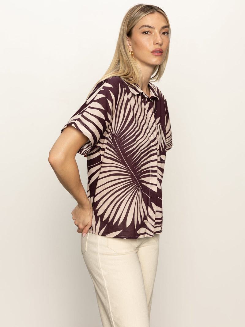 Sanc Souvenir Shirt Mesa Palm alt 4