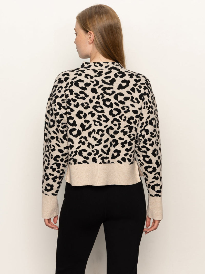 Soft Touch Popover Spots alt 4