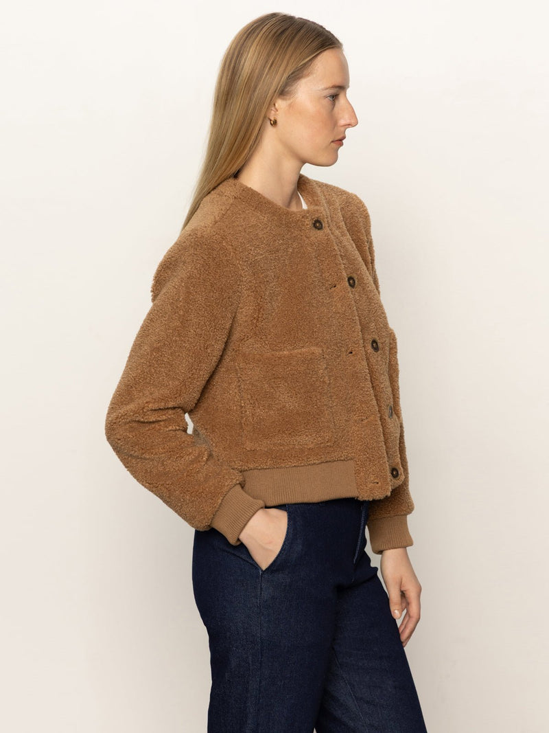 Teddy Cardi Bronze alt 3